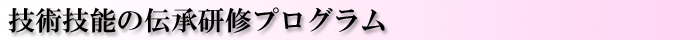 ZpZ\̓`CvO